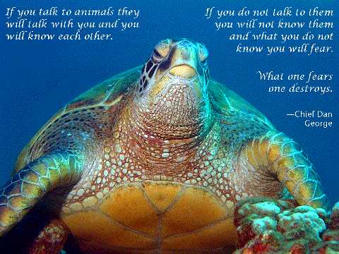 If you talk to the animals they will talk with you and you will know each other. If you do not talk to them you will not know them, and what you do not know you will fear. What one fears one destroys. Chief Dan George